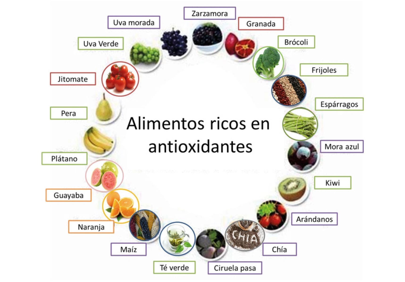 Conoce Los Tipos De Antioxidantes 5452